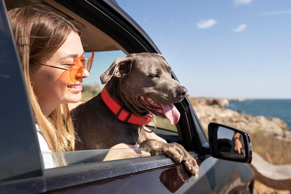 woman traveling with a dog
