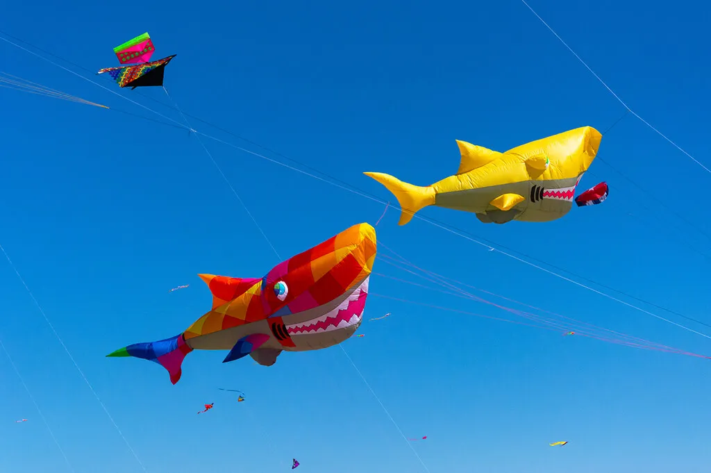 Massive, vibrant kite flying high during a local festival
